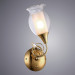Настенное бра Mughetto Arte Lamp A9289AP-1GO