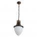 Подвесной уличный светильник Vienna Arte Lamp A1317SO-1BN