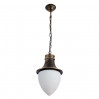 Подвесной уличный светильник Vienna Arte Lamp A1317SO-1BN