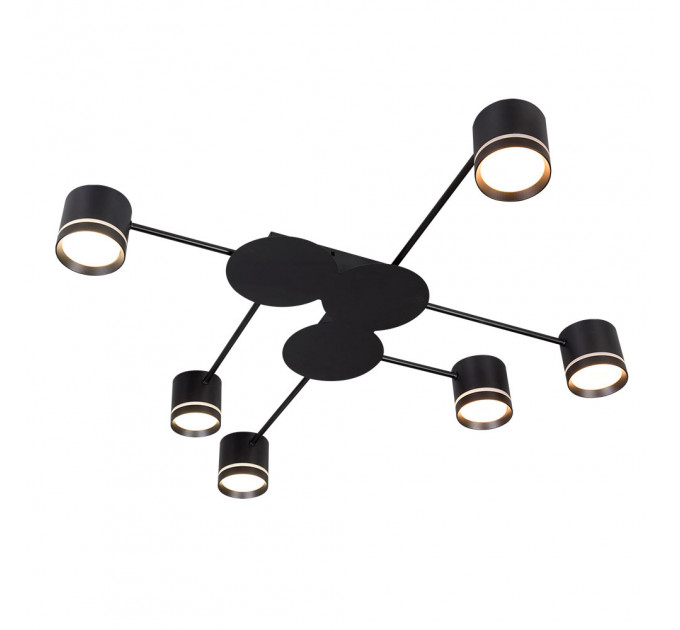 Потолочная люстра Arte Lamp LEGACY A8024PL-6BK