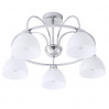 Потолочная люстра Palermo Arte Lamp 5*40W Е27 A6057PL-5CC