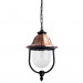 Подвесной уличный светильник Barcelona Arte Lamp A1485SO-1BK