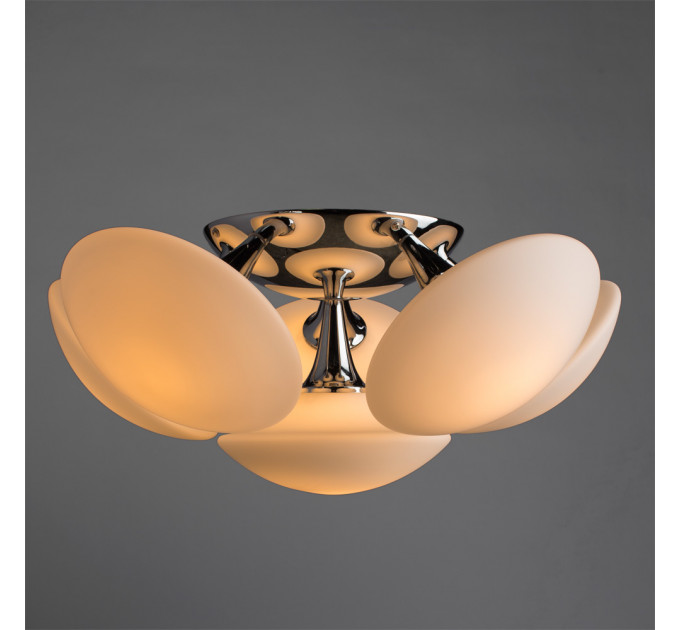 Потолочная люстра Aqua Arte Lamp  6*60W Е27 A2550PL-6CC