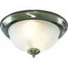 Потолочный светильник Porch Arte Lamp A7834PL-2AB