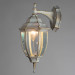 Уличный настенный светильник Pegasus Arte Lamp белый A3152AL-1WG