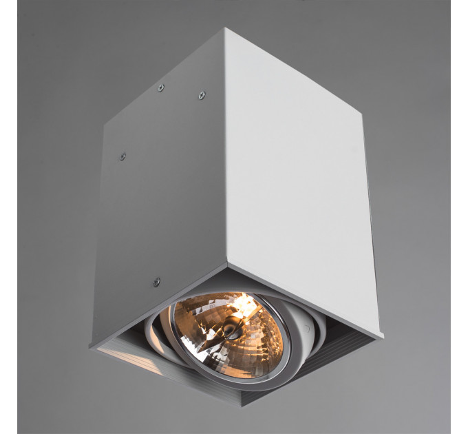 Накладной светильник Cardani grande Arte Lamp A5936PL-1WH