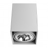 Накладной светильник Cardani grande Arte Lamp A5936PL-1WH