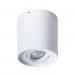 Накладной светильник Falcon Arte Lamp 1*50W GU10 белый A5645PL-1WH