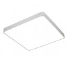 Потолочный светильник Scena Arte Lamp LED A2669PL-1WH