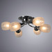 Потолочная люстра Penny Arte Lamp 6*60W Е27 хром A2701PL-6CC