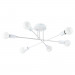 Потолочная люстра Alastor Arte Lamp A5435PL-6WH