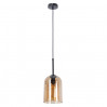 Подвесной светильник Paio Arte Lamp A7015SP-1BK