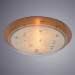 Светильник Arte Lamp TIANA A4043PL-2CC