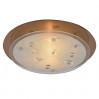 Светильник Arte Lamp TIANA A4043PL-2CC