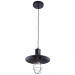 Подвесной светильник Laterna 1*40W Е27 2007/01 SP-1