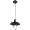 Подвесной светильник Laterna 1*40W Е27 2007/01 SP-1
