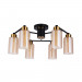 Потолочная люстра Arte Lamp LEO A7027PL-6BK