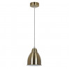 Подвес Braccio Arte Lamp бронза A2054SP-1AB
