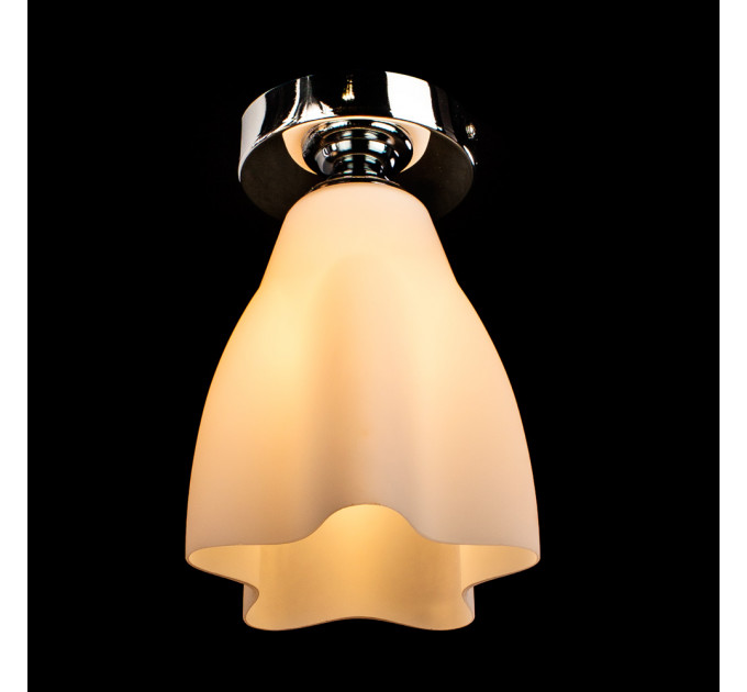Потолочный светильник Canzone Arte Lamp A3469PL-1CC