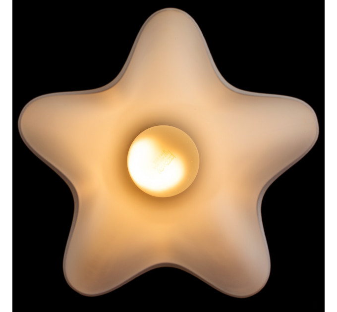 Потолочный светильник Canzone Arte Lamp A3469PL-1CC
