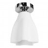 Потолочный светильник Canzone Arte Lamp A3469PL-1CC