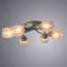 Потолочная люстра Penny Arte Lamp 6*60W Е27 A2701PL-6WG