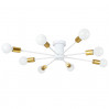 Потолочная люстра Alastor Arte Lamp A6702PL-8WH