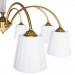 Потолочная люстра Gracie Arte Lamp A7301PL-8PB