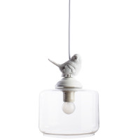 Подвесной светильник с птичкой Passero Arte Lamp 1*40W Е27 A8029SP-1WH