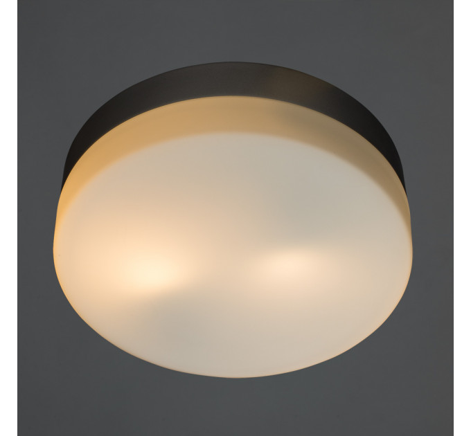 Светильник Arte Lamp AQUA A3211PL-2SI