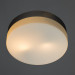 Светильник Arte Lamp AQUA A3211PL-2SI
