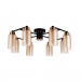 Потолочная люстра Arte Lamp LEO A7027PL-8BK