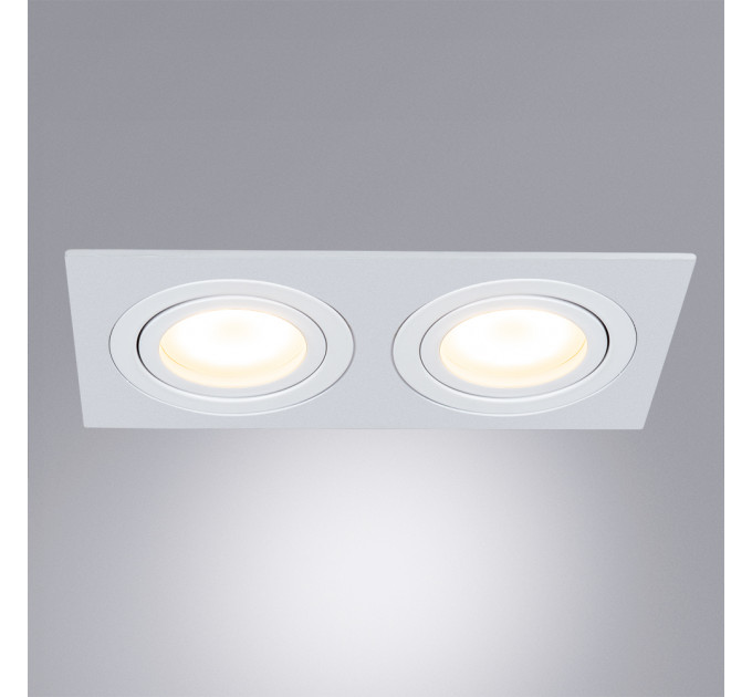 Светильник Arte Lamp TARF A2168PL-2WH