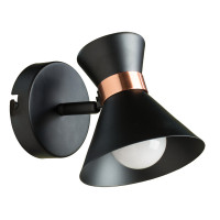 Спот Baltimore Arte Lamp A1406AP-1BK
