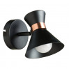 Спот Baltimore Arte Lamp A1406AP-1BK