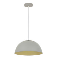 Подвесной светильник Buratto Arte Lamp серый A8173SP-1GY