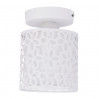 Потолочный светильник Traforato Arte Lamp 1*40W Е14 A8349PL-1WH