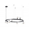 Подвесная люстра Бьянки Kink Light 07808-8,19