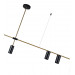 Подвесной светильник Рия Kink Light 07621-4,19