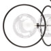 Подвесная люстра Alfa Lightstar 745077