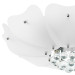 Потолочная люстра Lobo Lightstar 804020