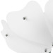 Потолочная люстра Lobo Lightstar 804020