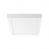 Потолочный светильник Lightstar Zocco 324124