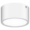 Потолочный уличный светильник Zolla Lightstar 380163