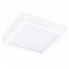 Потолочный светодиодный светильник Lightstar Urbano 216802 БЕЛЫЙ 3000K IP65