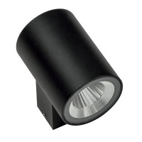 Настенный уличный светильник Paro Lightstar LED 12W IP65 черный 351672