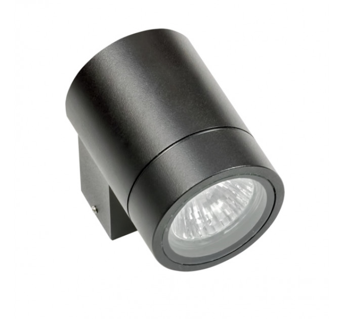 Настенный уличный светильник Paro Lightstar IP65 черный 350607