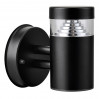Настенный уличный светильник Raggio Lightstar 376617
