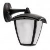 Настенный уличный светильник Lampione Lightstar 375680