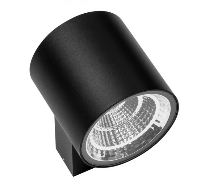 Настенный уличный светильник Paro Lightstar LED 16W IP65 черный 361674